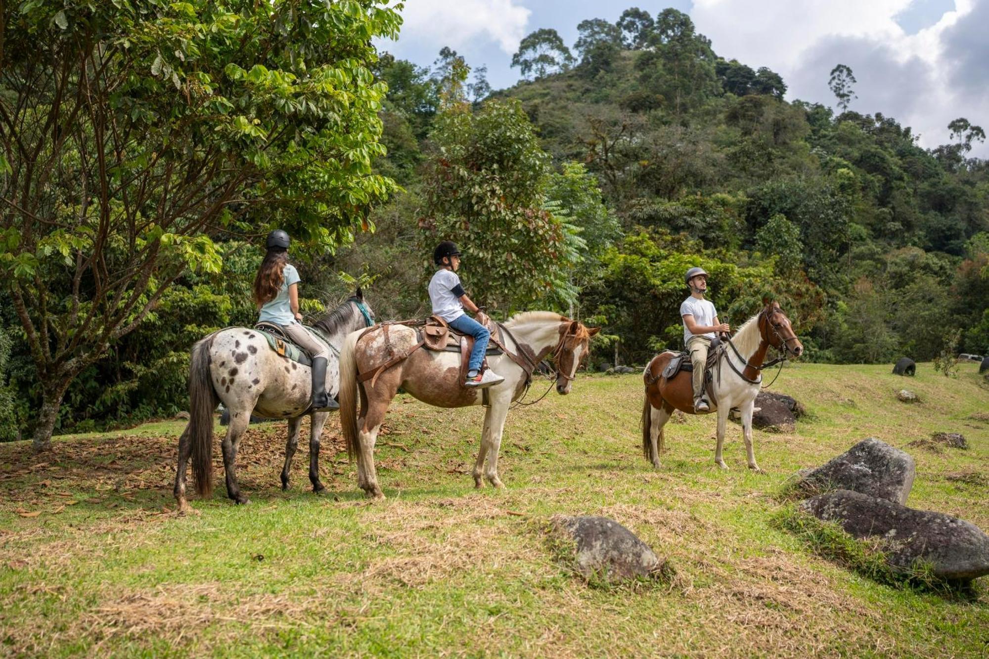 La Herradura Lodge Santa Rosa de Cabal Ngoại thất bức ảnh