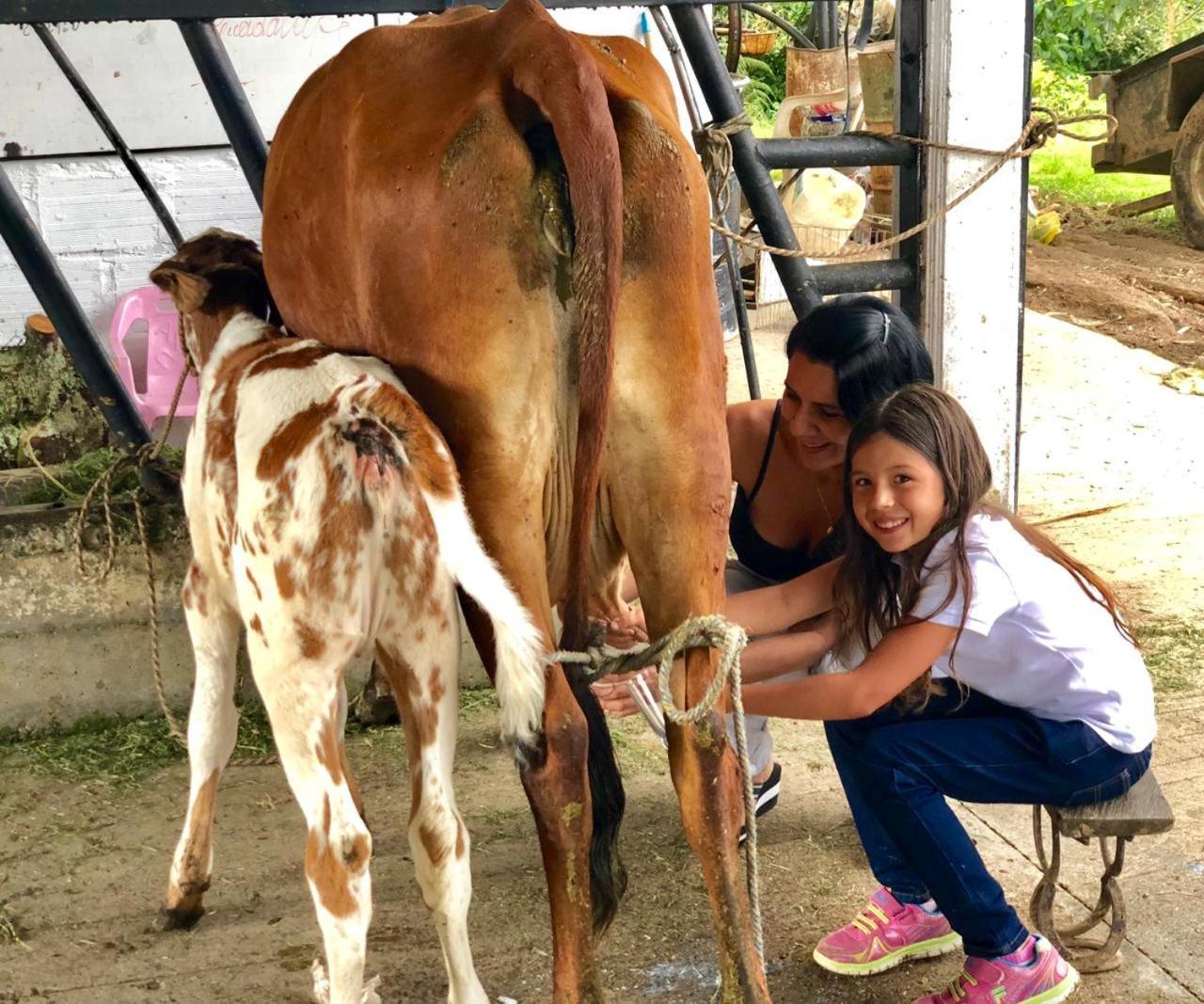 La Herradura Lodge Santa Rosa de Cabal Ngoại thất bức ảnh